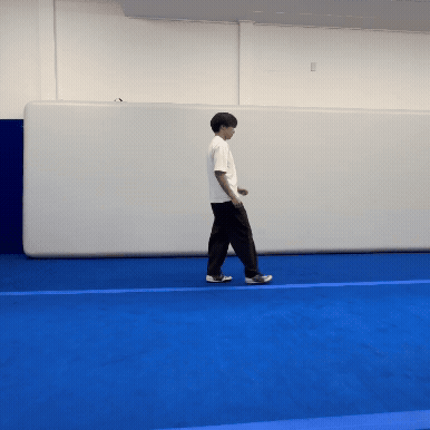 ウェブスター